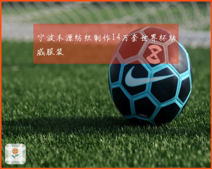 宁波禾源纺织制作14万套世界杯助威服装